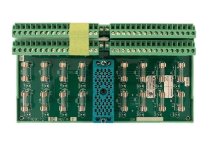 3000590-110 Interface Module Triconex