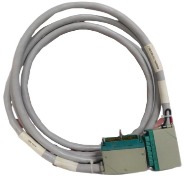 4000094-310 | Triconex | External Output Cable Aassembly