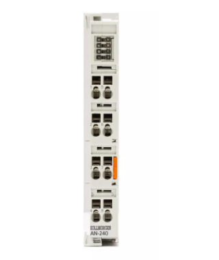 Kollmorgen AKT2G-AN-240-000 2-channel input terminal for resistance sensors